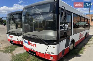 Туристичний / Міжміський автобус МАЗ 206 2019 в Дніпрі