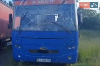 Приміський автобус МАЗ 256 2006 в Бородянці