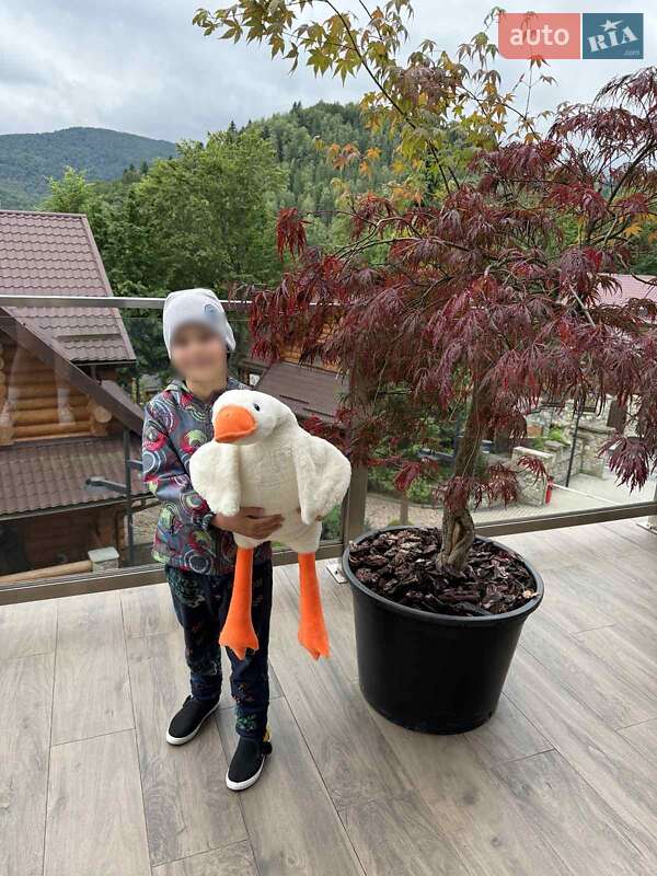 Седан Mazda 3 2014 в Вінниці фото 3 Седан Mazda 3 2014 в Вінниці