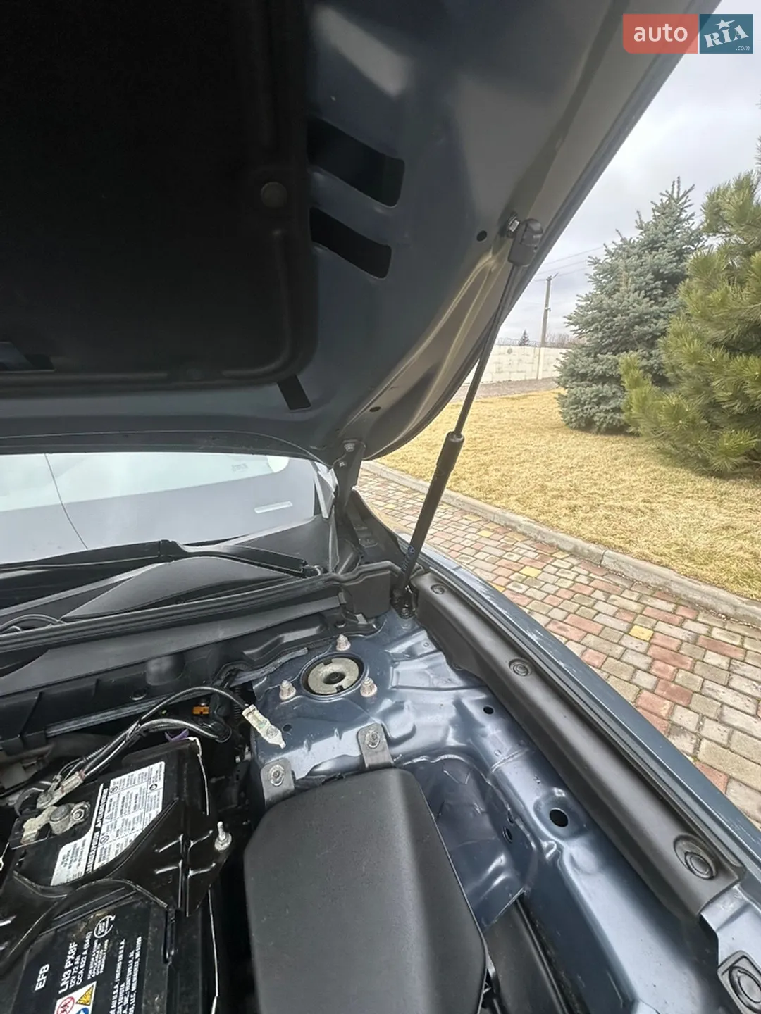 2024 Mazda CX-50 - мініатюра 8