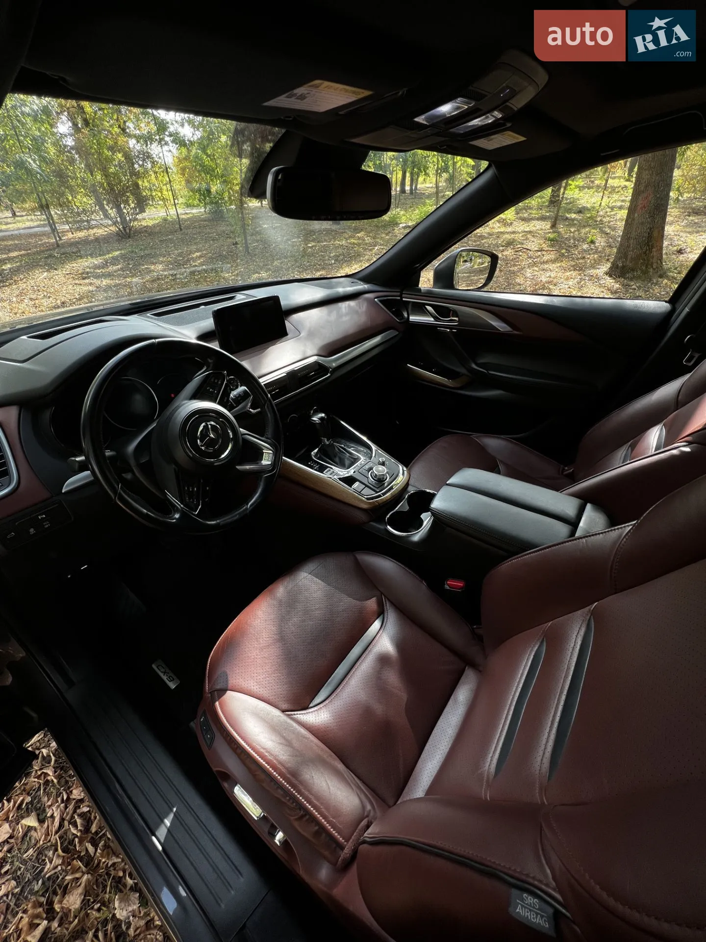 2017 Mazda CX-9 - мініатюра 12