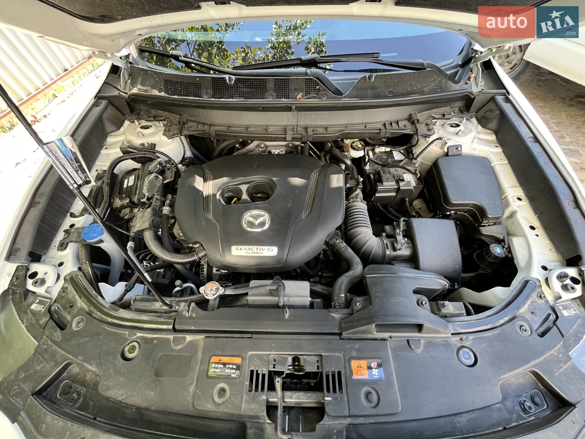 2021 Mazda CX-9 - мініатюра 15