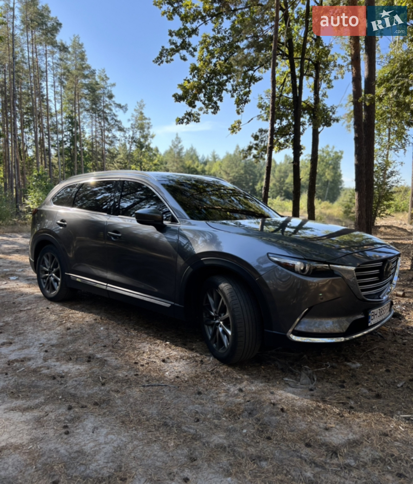 2019 Mazda CX-9 - мініатюра 3