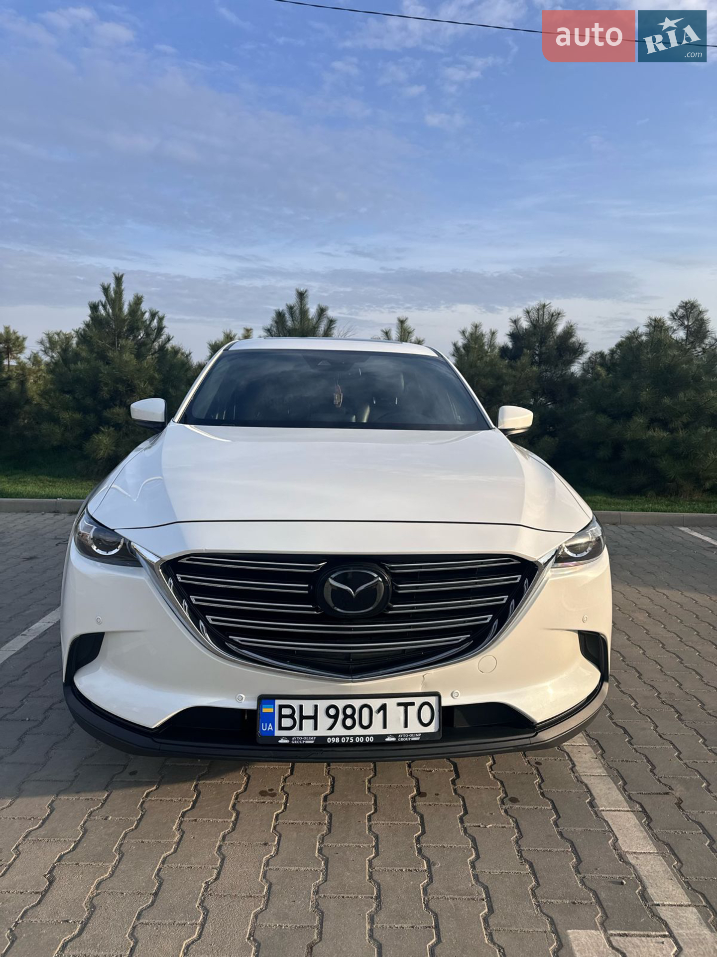 2018 Mazda CX-9 - мініатюра 5