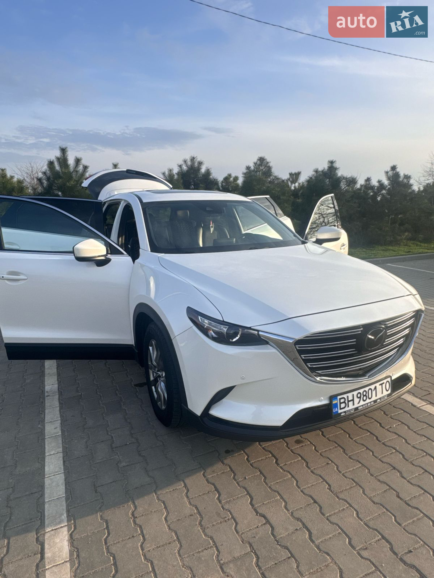 2018 Mazda CX-9 - мініатюра 10