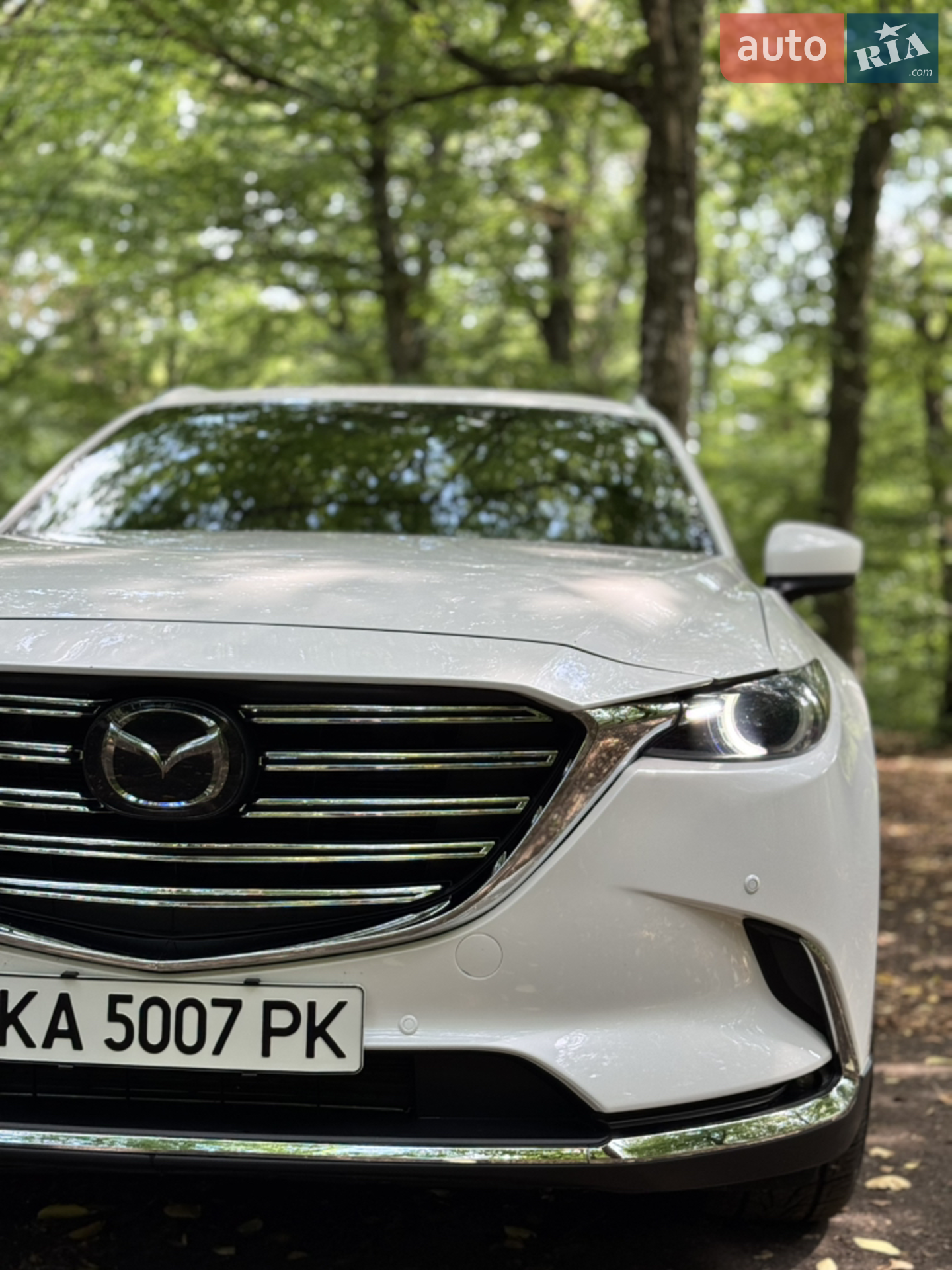 2017 Mazda CX-9 - мініатюра 29