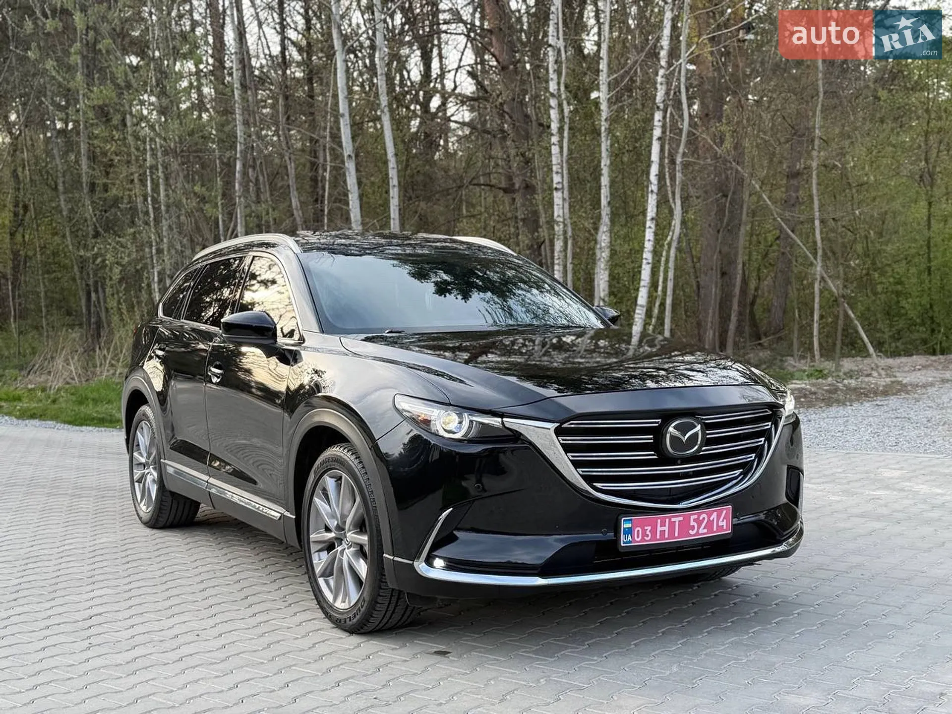2021 Mazda CX-9 - мініатюра 2
