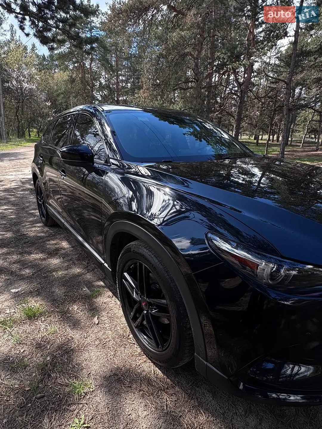 2019 Mazda CX-9 - мініатюра 5