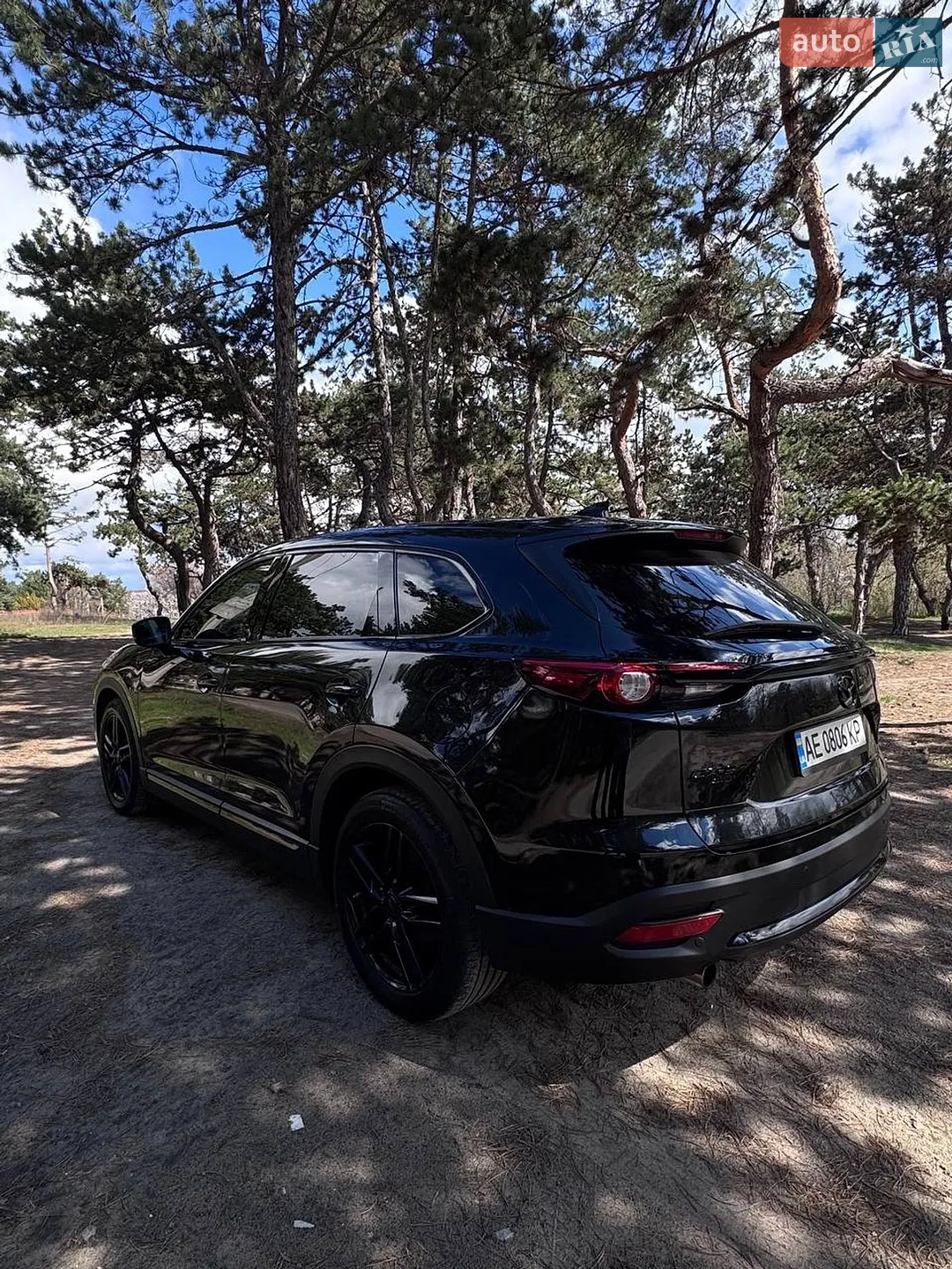 2019 Mazda CX-9 - мініатюра 6