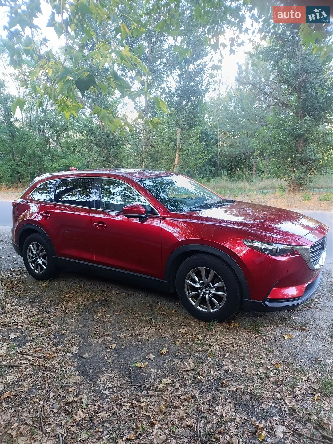 2019 Mazda CX-9 - мініатюра 3
