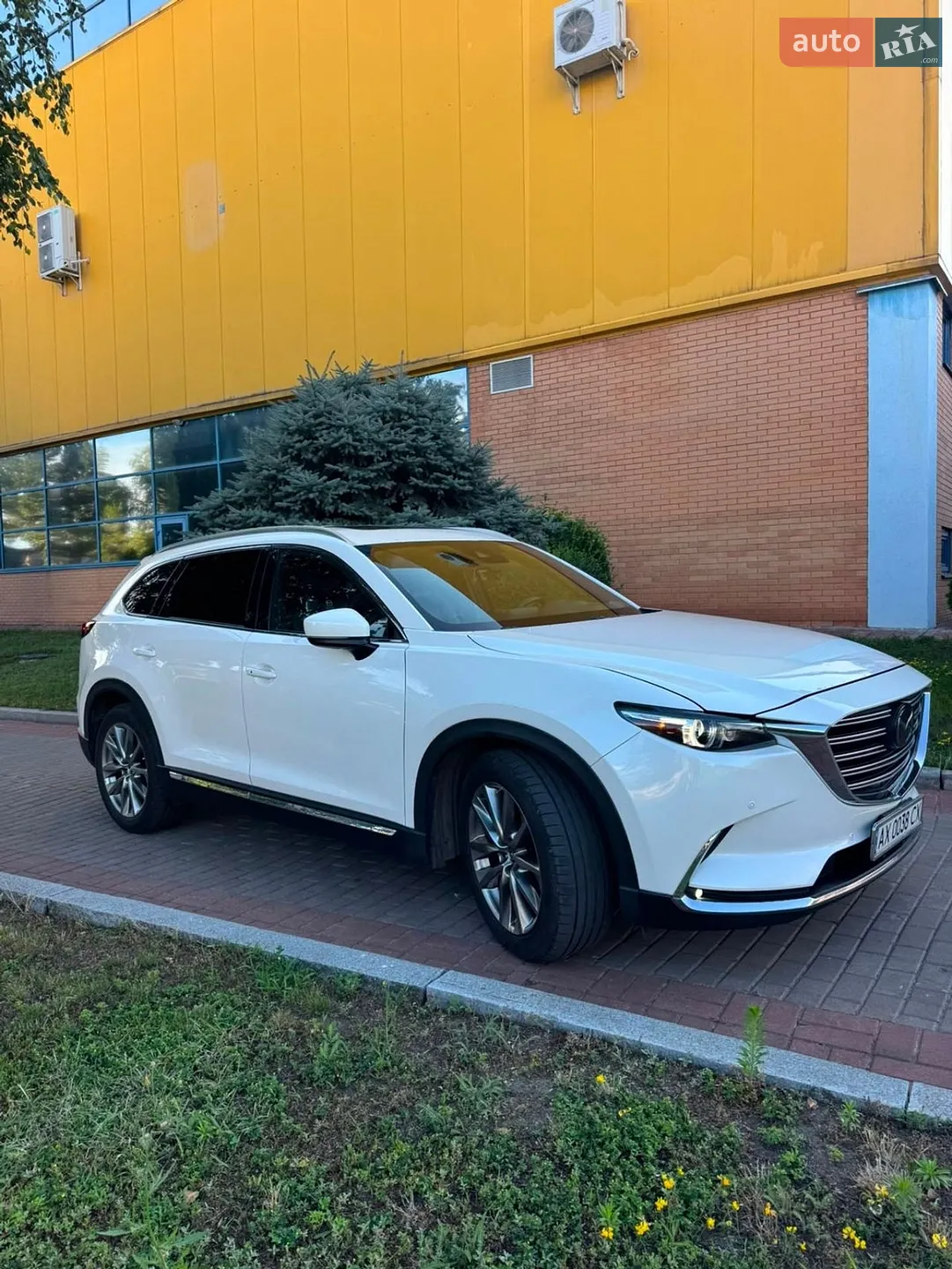 2018 Mazda CX-9 - мініатюра 2