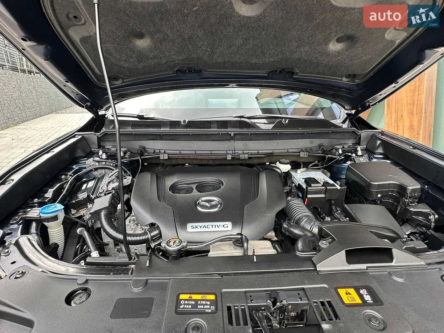 2019 Mazda CX-9 - мініатюра 19