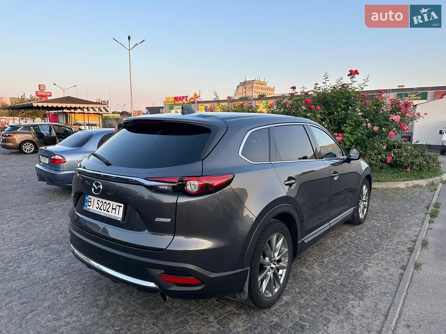 2018 Mazda CX-9 - мініатюра 9