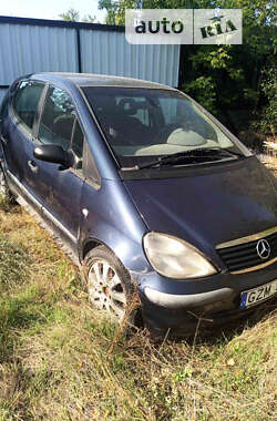 Хэтчбек Mercedes-Benz A-Class 2002 в Днепре