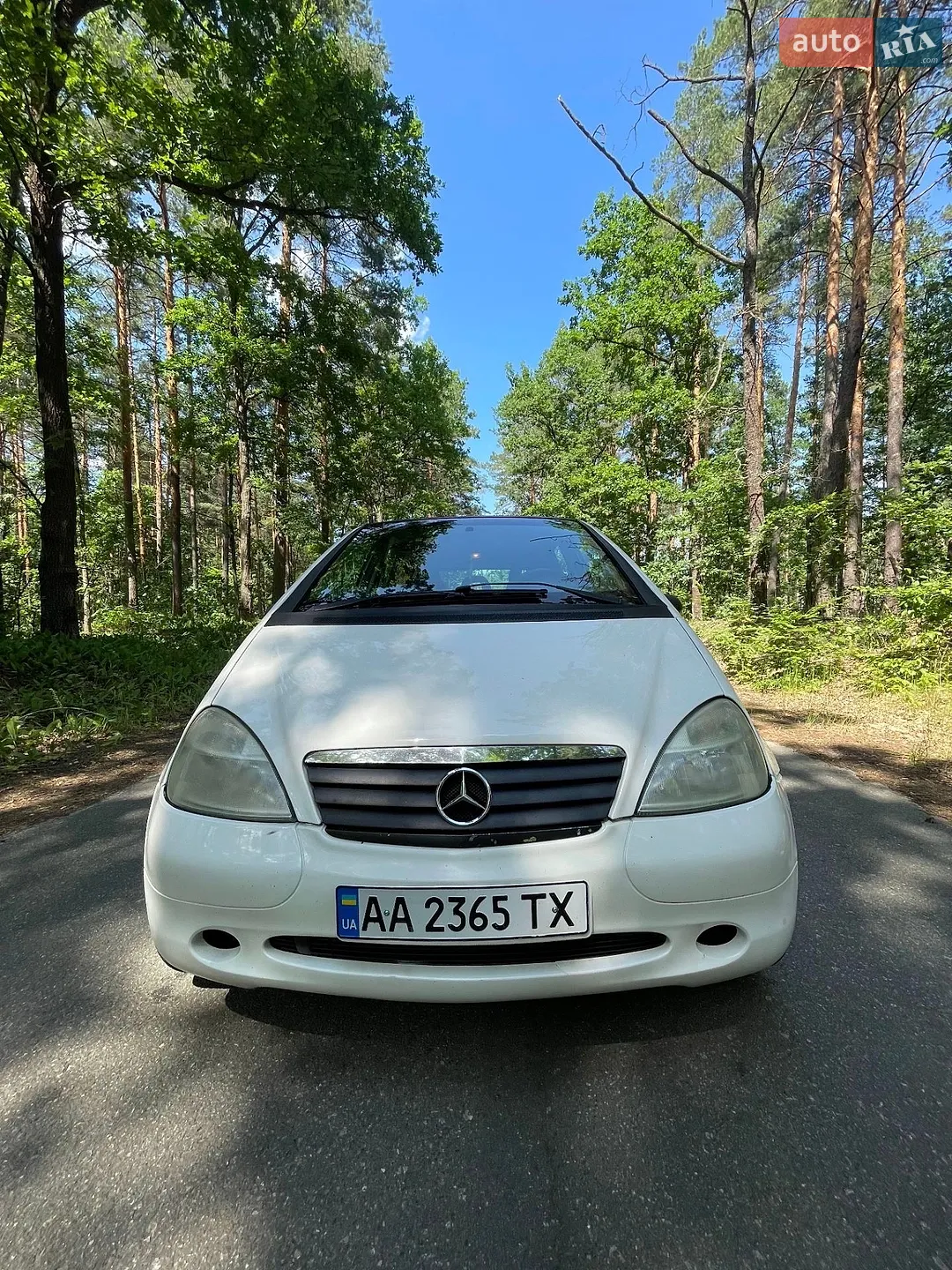 Mercedes-Benz A-Class 1998 VIN WDB1680331J076291 фото оголошення 15 з 18