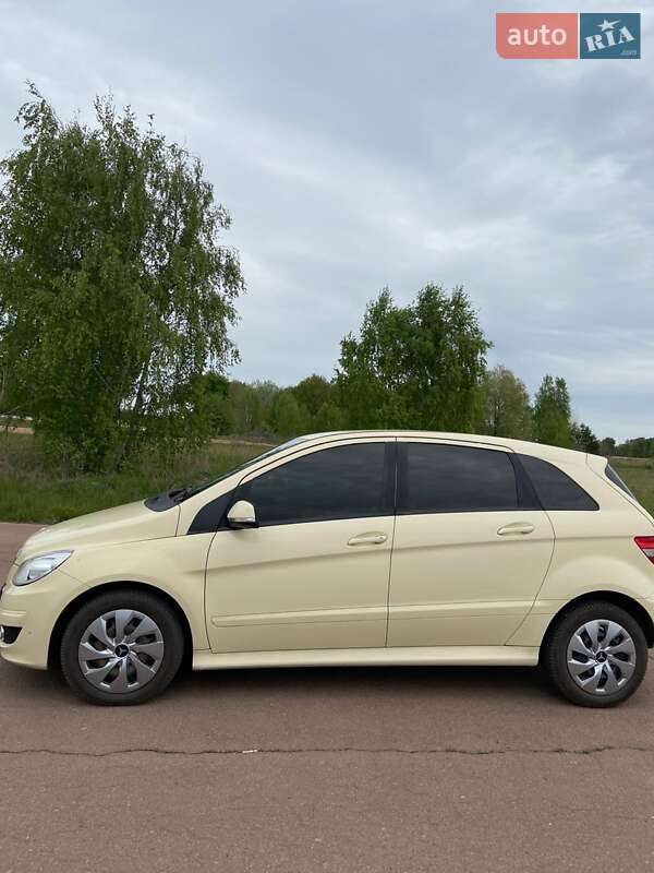 Хэтчбек Mercedes-Benz B-Class 2010 в Носовке