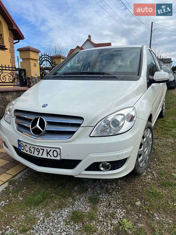 Хэтчбек Mercedes-Benz B-Class 2009 в Самборе