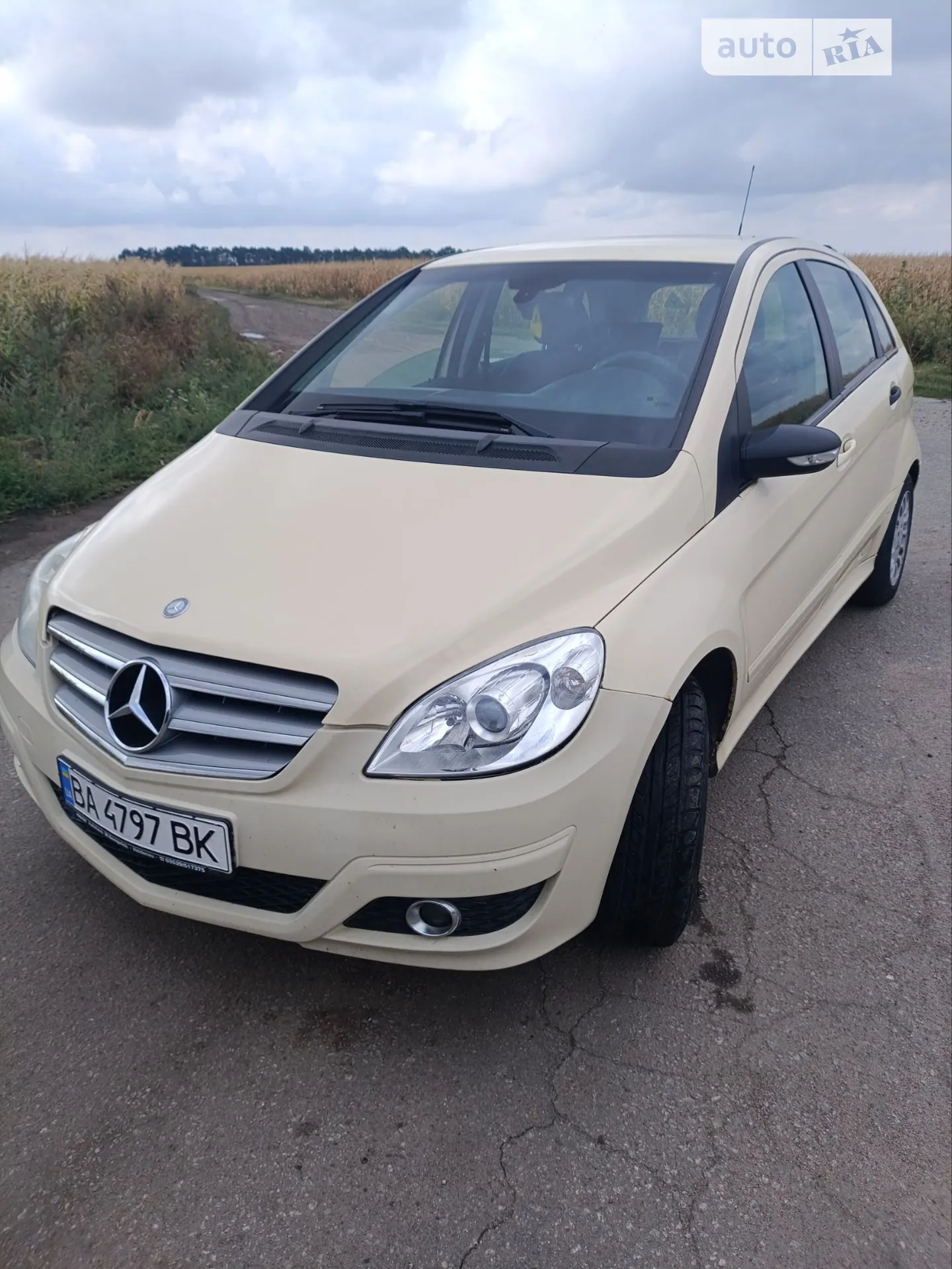 2010 Mercedes-Benz B-klasse - фото 1