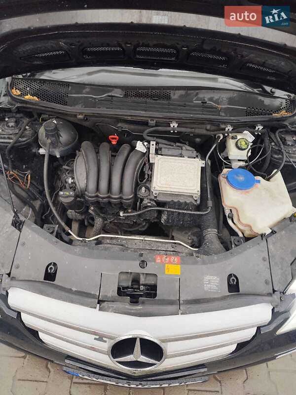 Хэтчбек Mercedes-Benz B-Class 2008 в Луцке фото 9 Хэтчбек Mercedes-Benz B-Class 2008 в Луцке