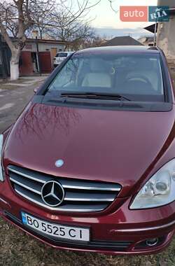 Хетчбек Mercedes-Benz B-Class 2007 в Теребовлі