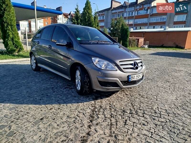 Хэтчбек Mercedes-Benz B-Class 2010 в Чорткове