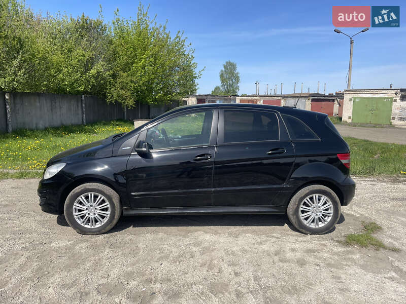 Хэтчбек Mercedes-Benz B-Class 2009 в Луцке