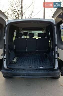 Минивэн Mercedes-Benz Citan 2013 в 