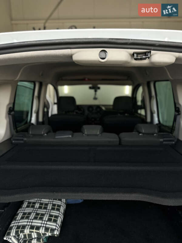 Мінівен Mercedes-Benz Citan 2018 в Баранівці фото 60 Мінівен Mercedes-Benz Citan 2018 в Баранівці