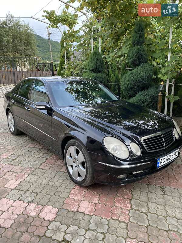 Седан Mercedes-Benz E-Class 2006 в Тячеві
