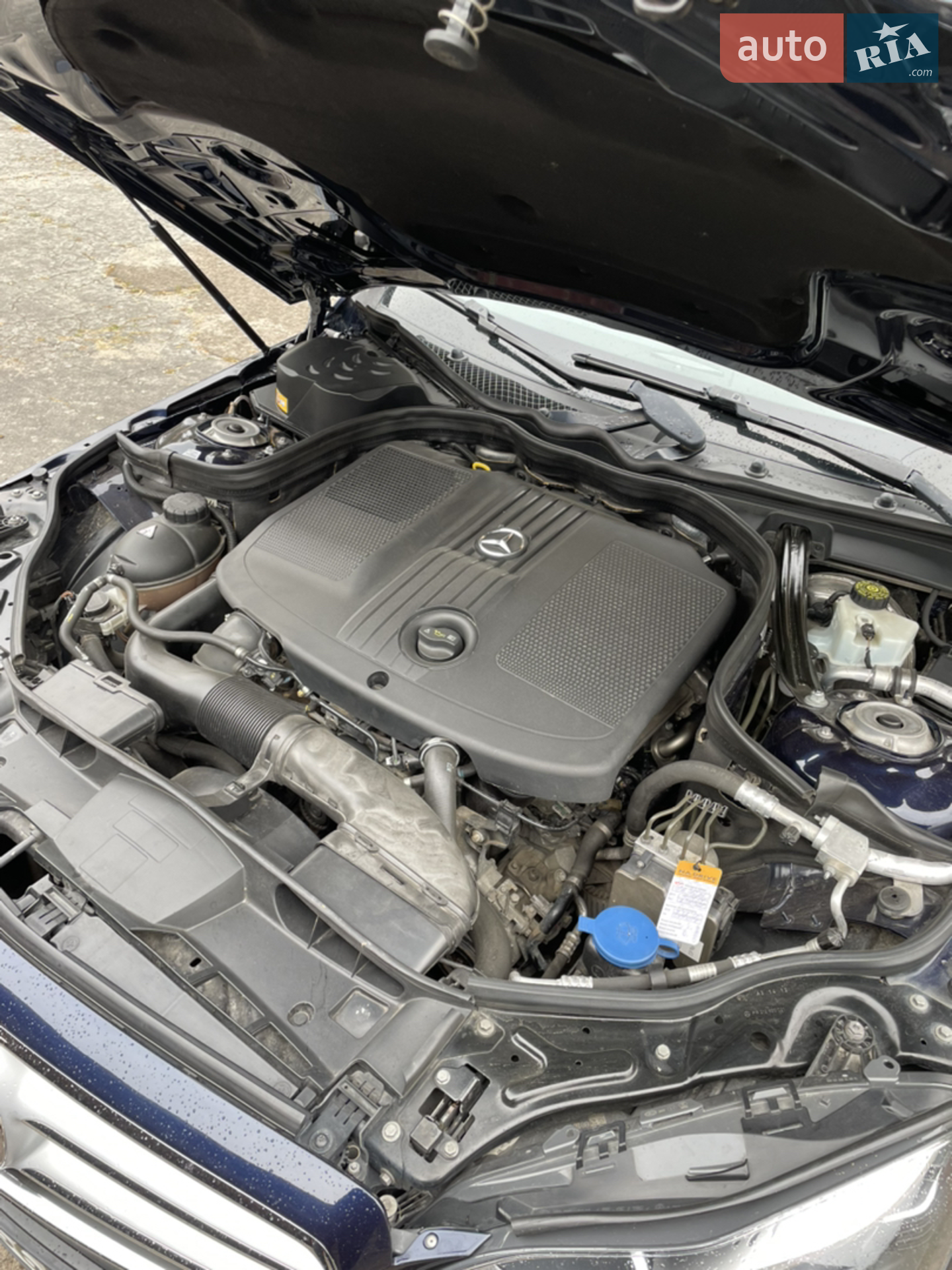 Mercedes-Benz E-Class 2014 VIN WDD2122051B017407 фото оголошення 14 з 14