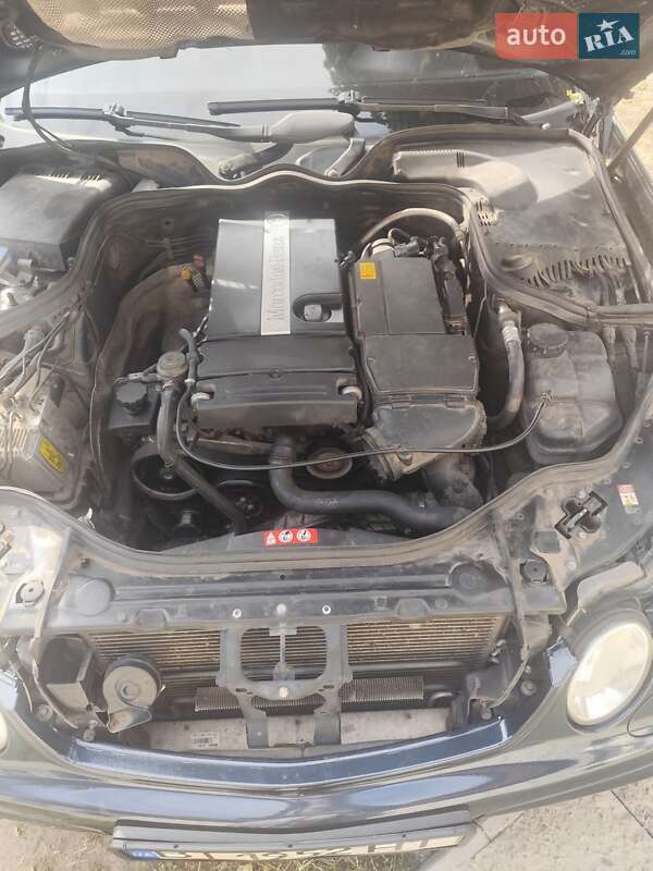 Универсал Mercedes-Benz E-Class 2005 в Хороле