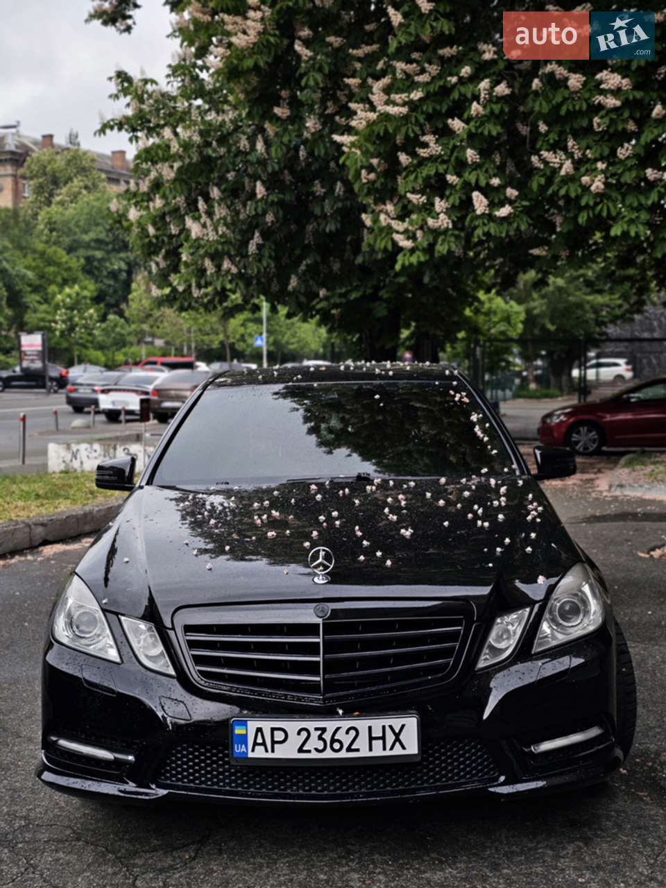 2011 Mercedes-Benz E-klasse - мініатюра 13