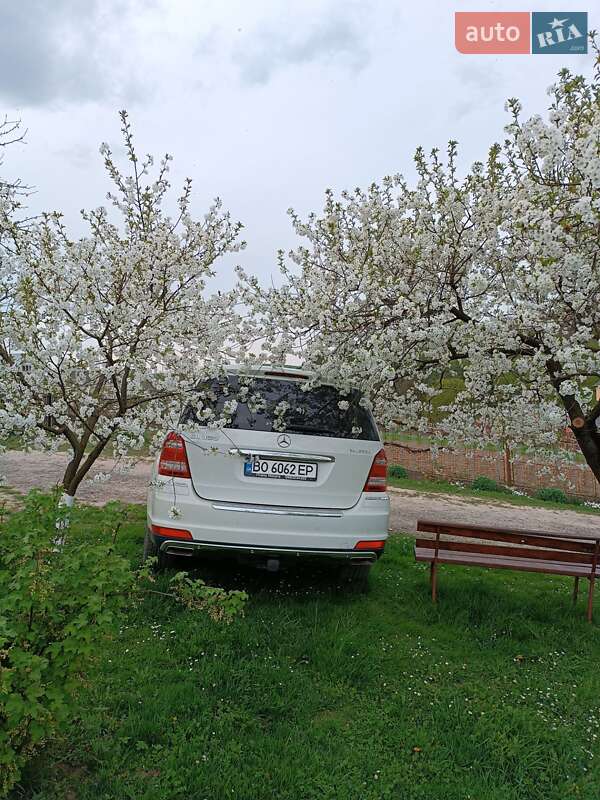 Внедорожник / Кроссовер Mercedes-Benz GL-Class 2011 в Бережанах