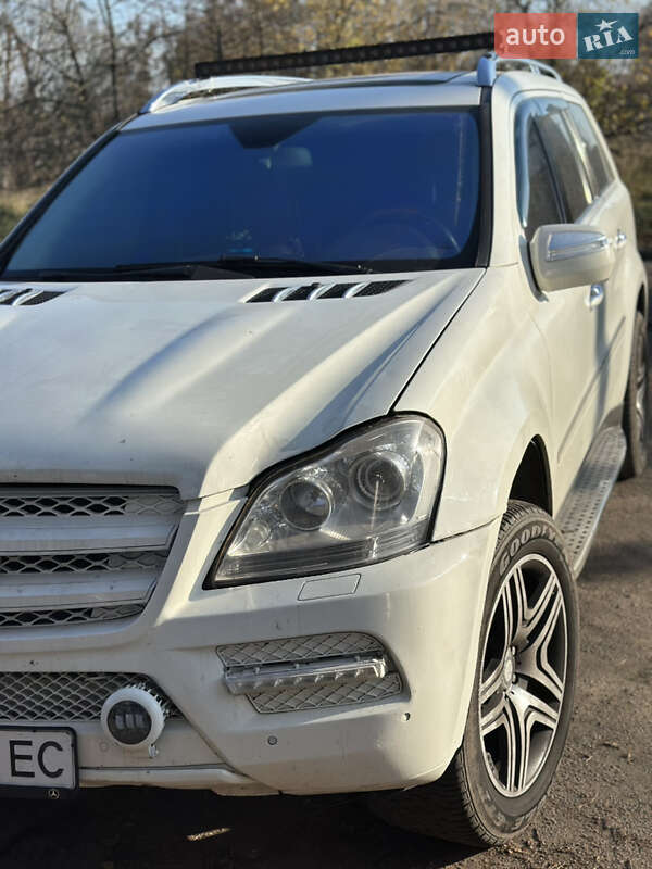 Позашляховик / Кросовер Mercedes-Benz GL-Class 2010 в Житомирі