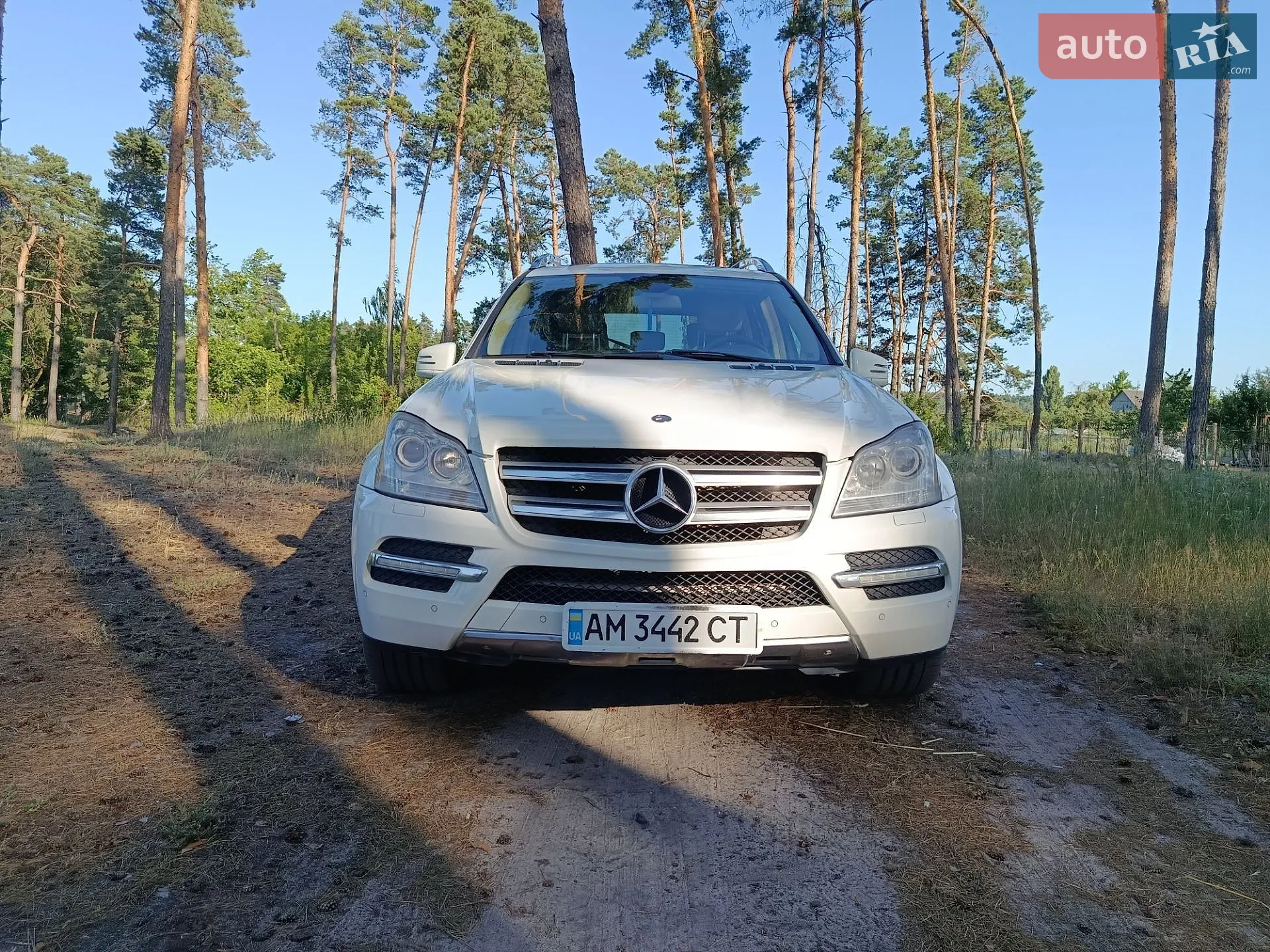 2010 Mercedes-Benz GL-klasse - мініатюра 5