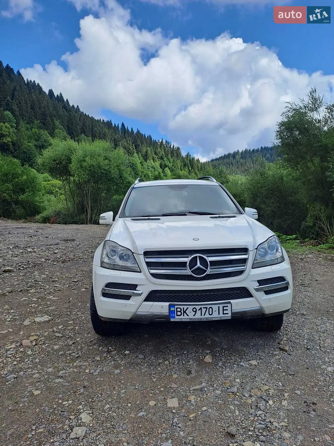 2010 Mercedes-Benz GL-klasse - фото 1