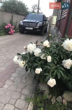 Внедорожник / Кроссовер Mercedes-Benz GLK-Class 2010 в Ратным