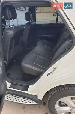 Позашляховик / Кросовер Mercedes-Benz M-Class 2010 в 