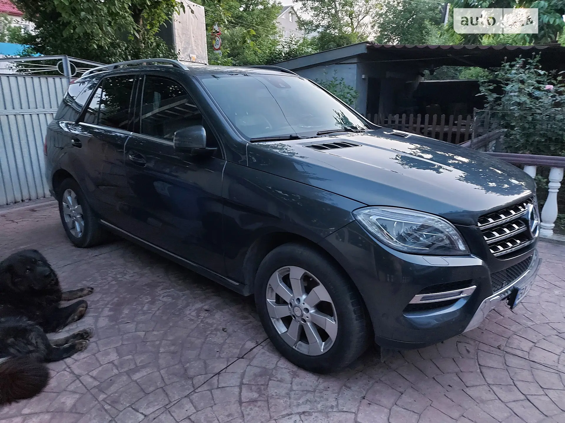 2014 Mercedes-Benz M-klasse - мініатюра 4