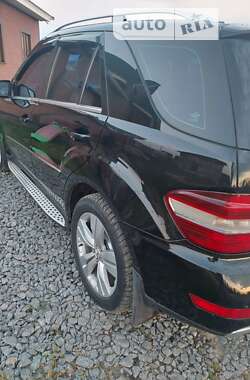 Внедорожник / Кроссовер Mercedes-Benz M-Class 2008 в 
