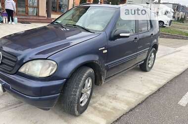 Внедорожник / Кроссовер Mercedes-Benz M-Class 2001 в Тячеве