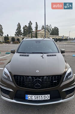 Внедорожник / Кроссовер Mercedes-Benz M-Class 2013 в Новоселице