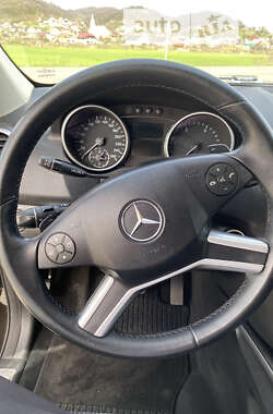 Внедорожник / Кроссовер Mercedes-Benz M-Class 2009 в 