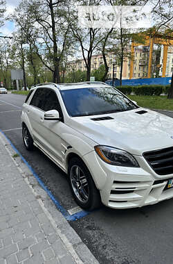 Позашляховик / Кросовер Mercedes-Benz M-Class 2013 в Дніпрі