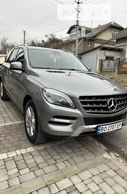 Внедорожник / Кроссовер Mercedes-Benz M-Class 2013 в Залещиках