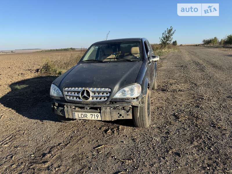 Позашляховик / Кросовер Mercedes-Benz M-Class 2002 в Хмільнику