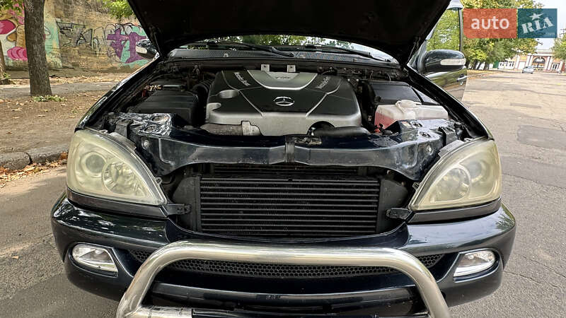 Внедорожник / Кроссовер Mercedes-Benz M-Class 2003 в Николаеве фото 39 Внедорожник / Кроссовер Mercedes-Benz M-Class 2003 в Николаеве