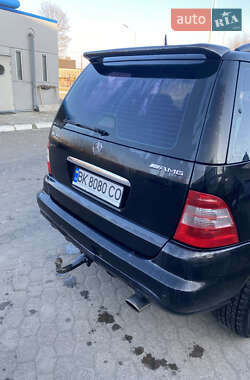 Внедорожник / Кроссовер Mercedes-Benz M-Class 2003 в 