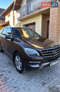 Внедорожник / Кроссовер Mercedes-Benz M-Class 2013 в 