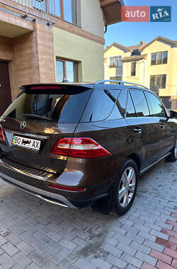 Внедорожник / Кроссовер Mercedes-Benz M-Class 2013 в 